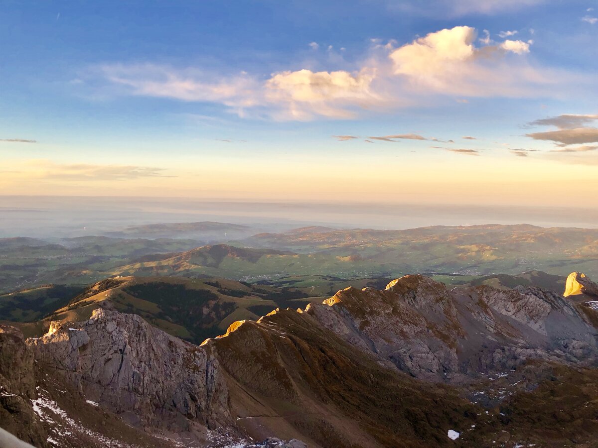 Зентис Швейцария