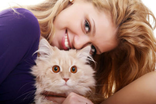 Можно ли заразиться глистами от кошки? | Лапа помощи | Дзен