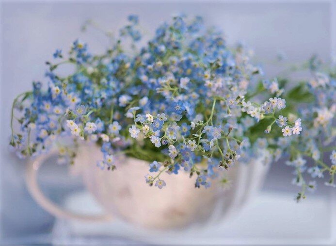 белье такого небесного цвета, предложил мне  ...померить Эрик..