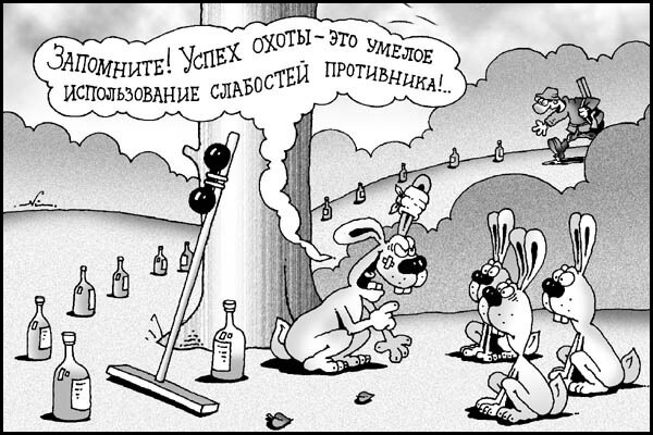 Фото из открытых источников