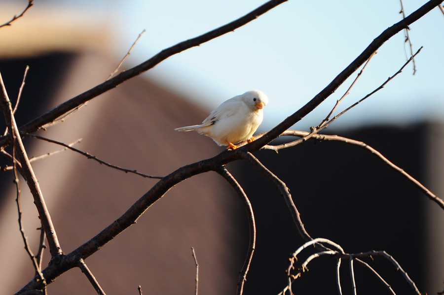 Фото: Сергей Жданов