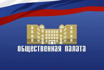 Общественная палата - это атипичное учреждение