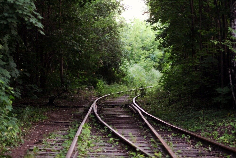 романтика окраин дзен