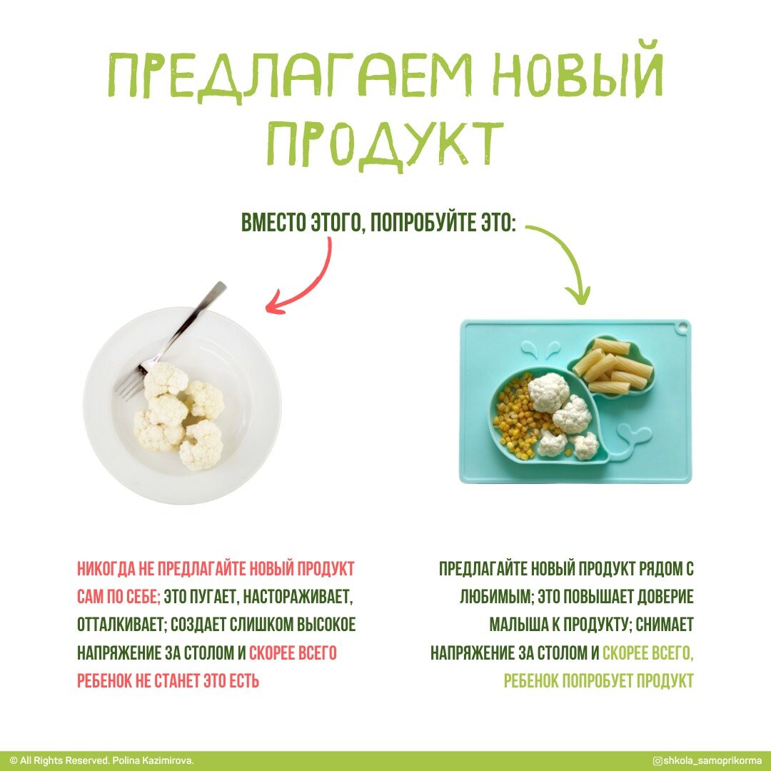 Как предложить новый продукт в прикорме