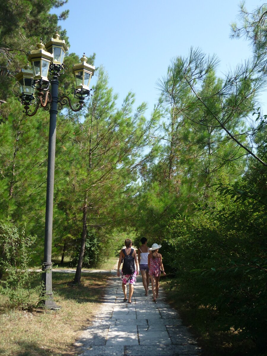 Аллеи вдоль пансионатов