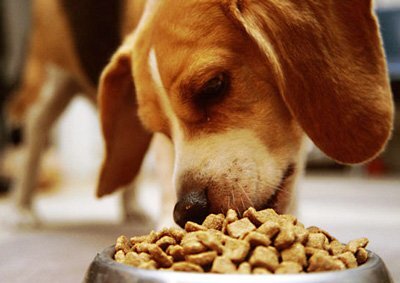  Производитель корма ROYAL CANIN обещает заботу и любовь за нашими питомцами. Предоставляет сертификаты качества и доказательства того, что корм сделан по всем критериям правильно и ни в коем случае не навредит собаке. Не навредит - возможно. А поможет ли? Что скрывается под лозунгом "Заботимся о Вашем питомце"? Давайте посмотрим на состав и разберем его.