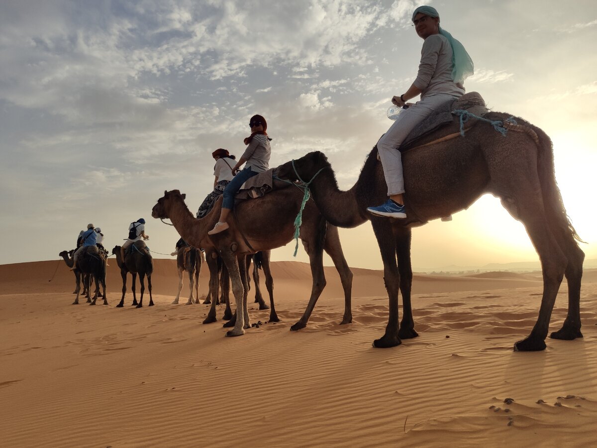Поездка вглубь пустыни