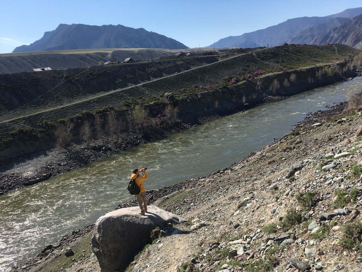 Фото в утренние часы