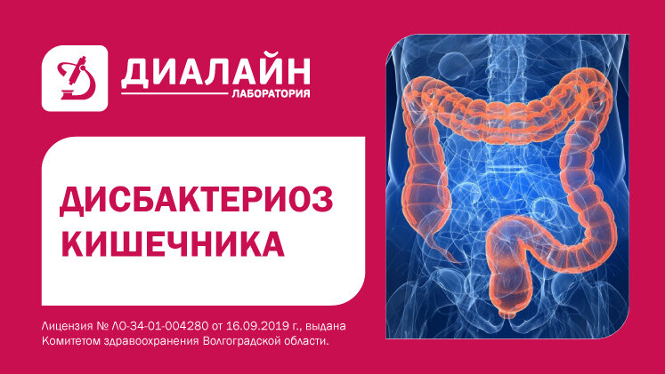 Лаборатория Диалайн