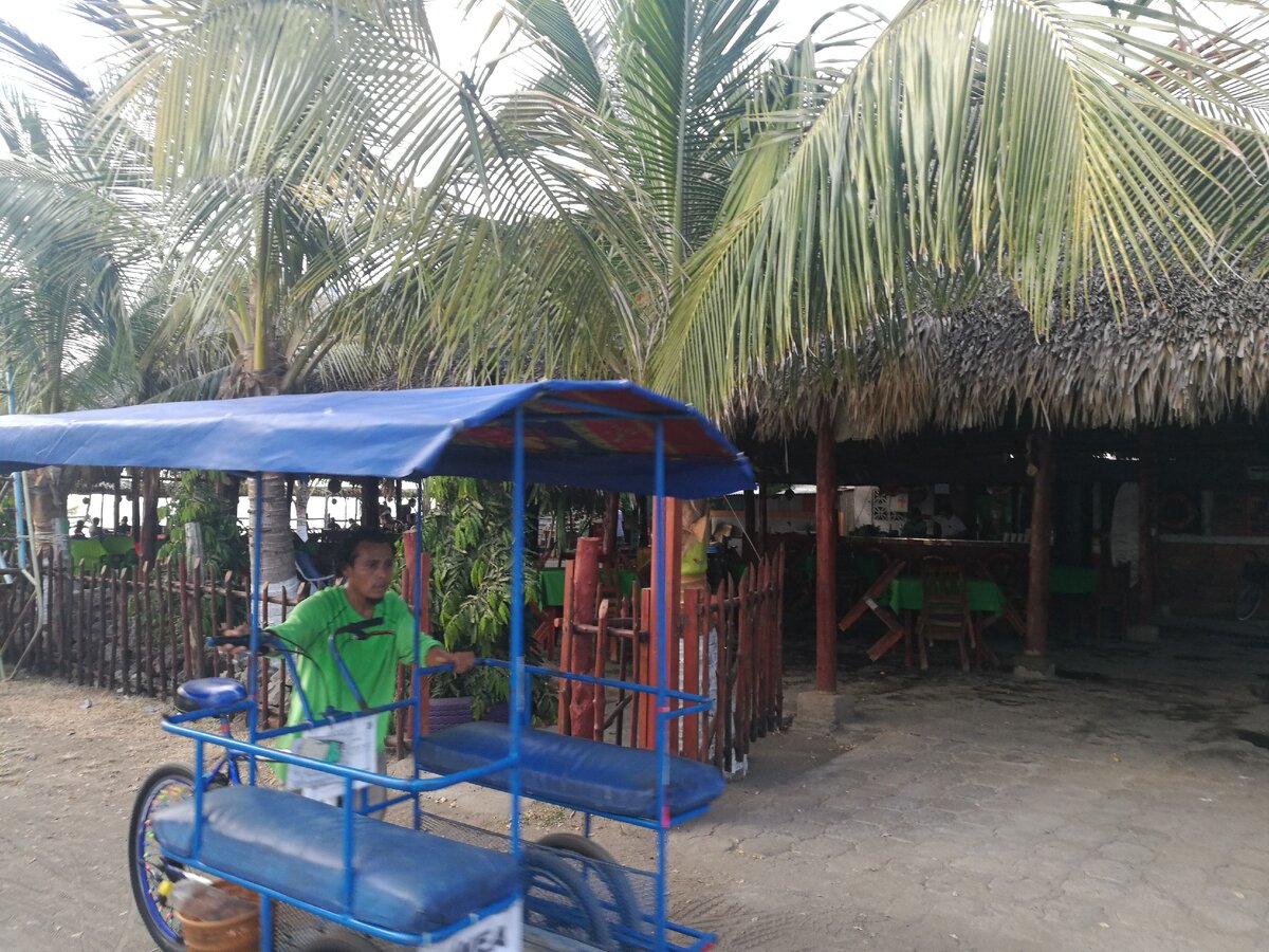 Верный друг и надёжный товарищ. Ну разве что за 10$.