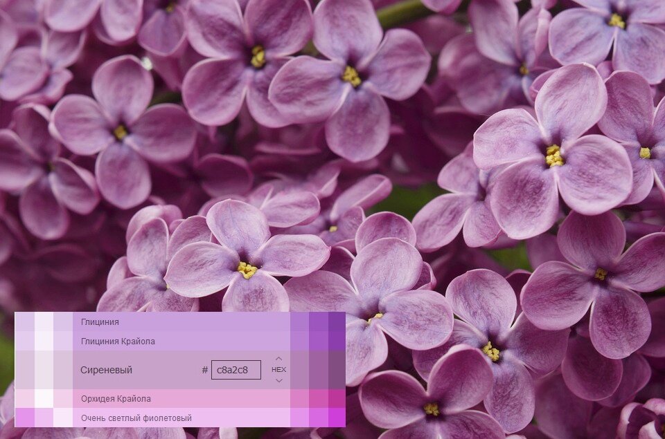 Фиолетовый цвет в интерьере: 60 изысканных вариантов — INMYROOM