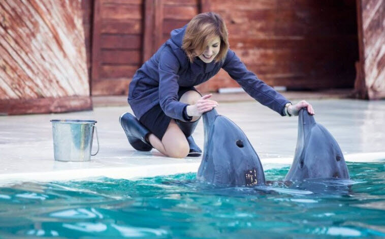 Генера-майор