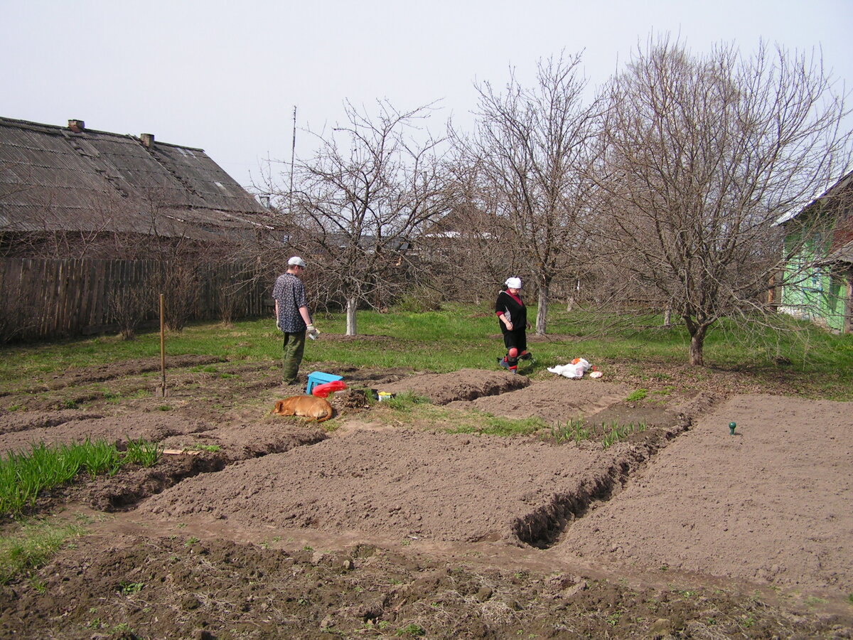 фото из семейного архива автора