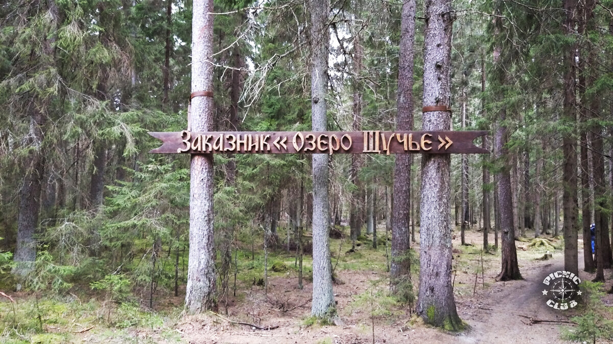 Государственный природный заказник Озеро Щучье. National Park Shhuchye Lake  | PICNIC CLUB | Дзен