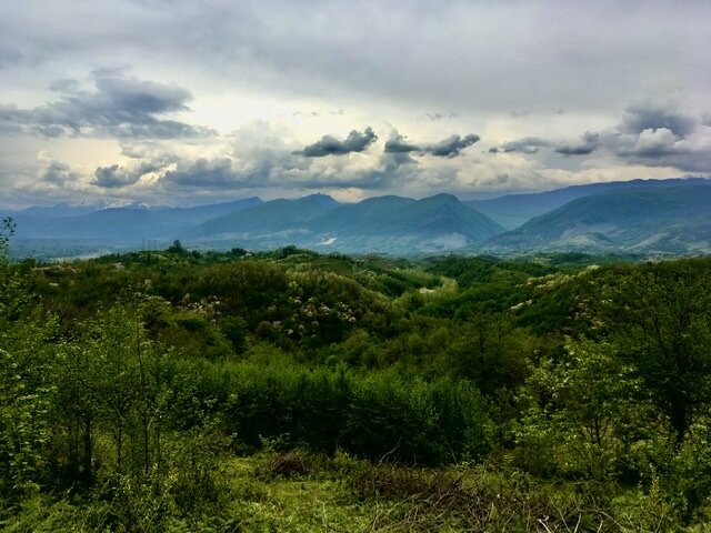 Окрестности г. Мартвили, Грузия. 