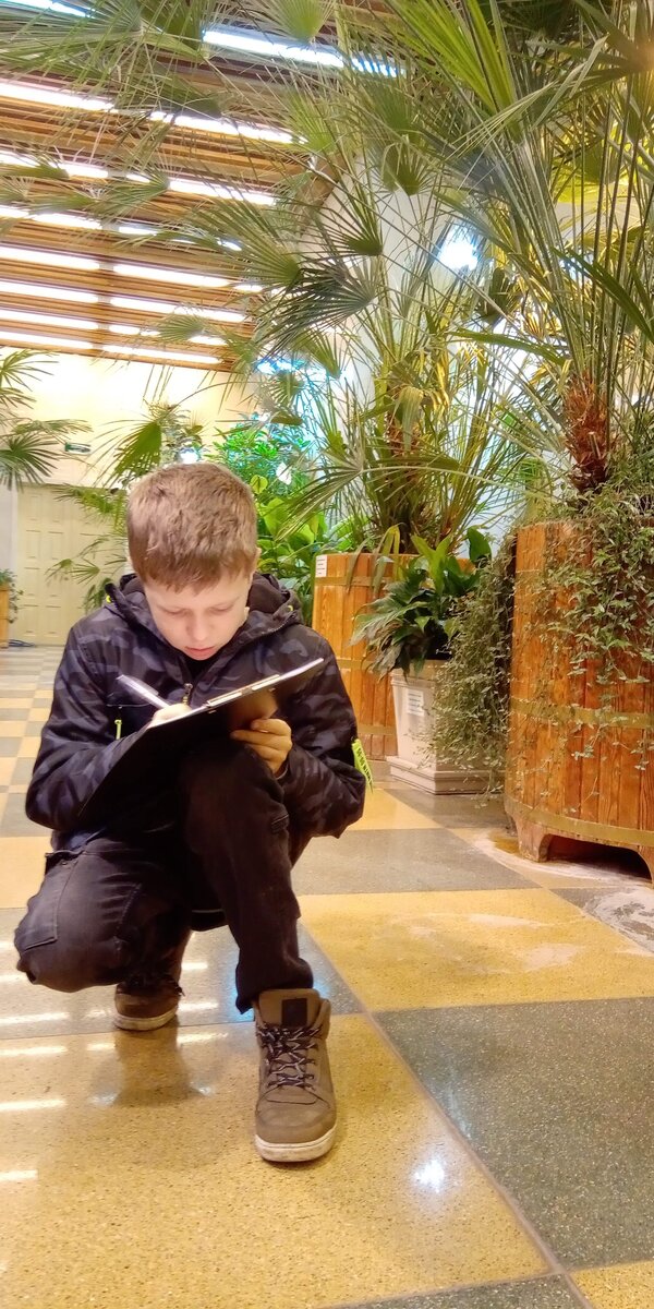 Оранжереи Царицыно