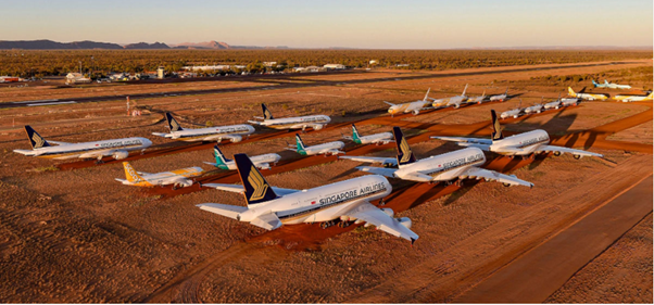 Птички в гнездышке