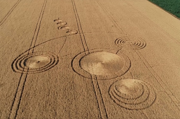 узор на поле