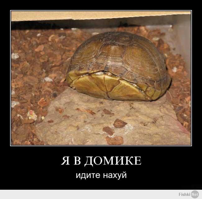 извините за мат, мем смешной, а мат, считамайте там написано нафиг