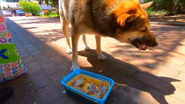 🔥Встреча с Другом Шариком на почте\ Сочи 2020 Лазаревское 2020.