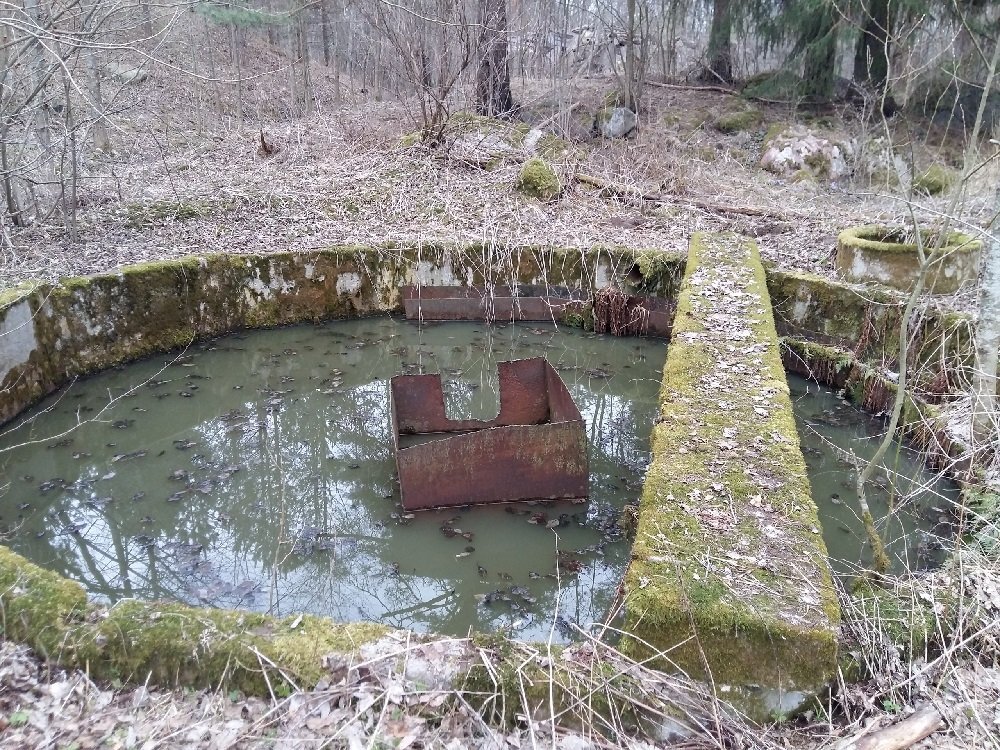 Загрязнение Судаковского озера. Фото из ВК-группы "Красивая Ленобласть"