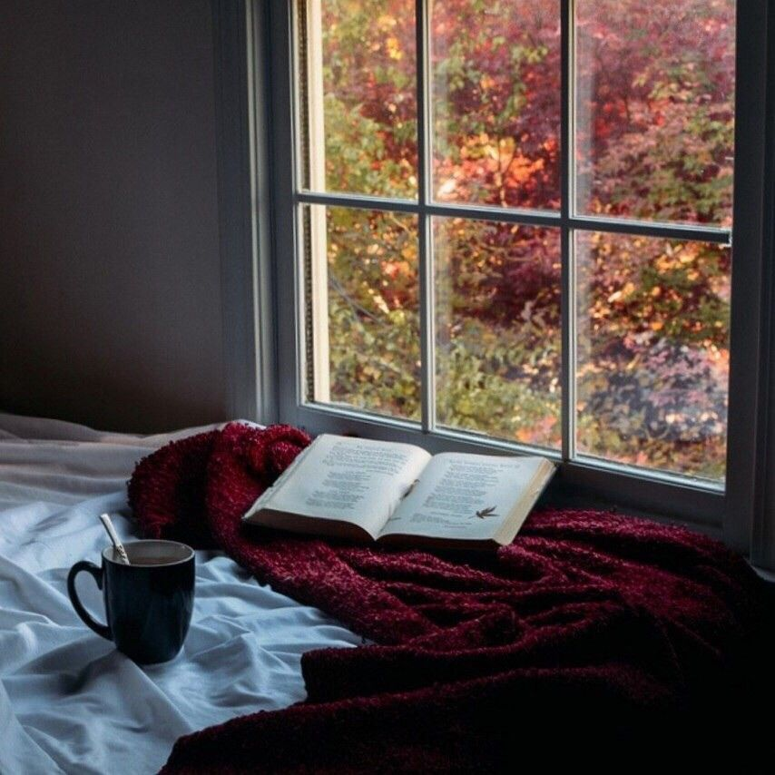 Листья на подоконнике. Плед на подоконнике. Осень за окном. Уютный вид из окна. Осень на подоконнике.