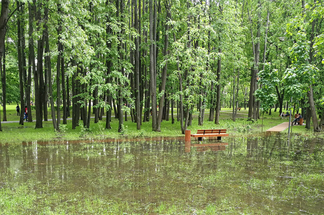 новые скамейки