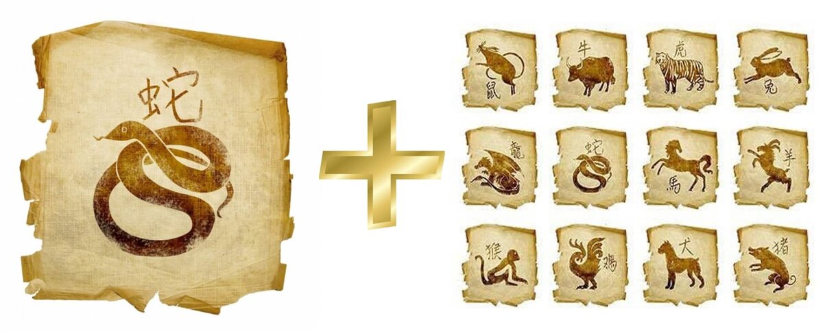 фото из источника tayniymir.com