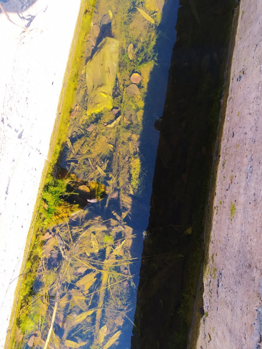 Вода в канале.