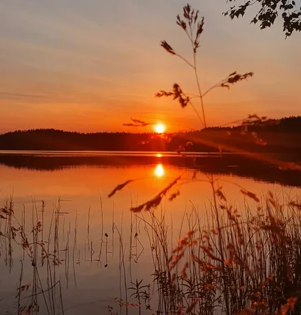  Любовь внутри каждого из нас.