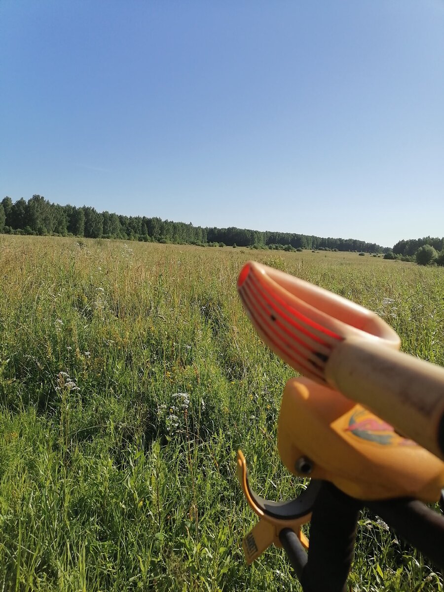 Взял я как-то на тест Аську 250 у камрада...