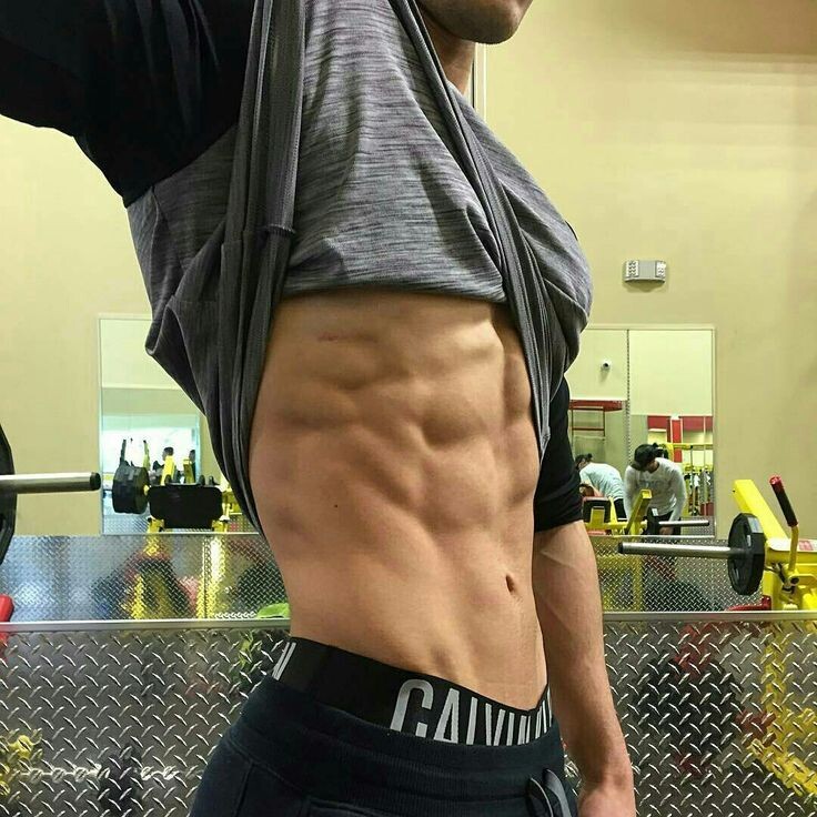 Поперечные мышцы живота