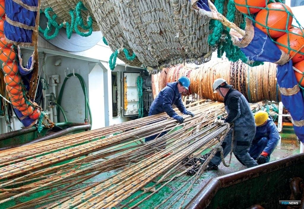 Сегодня Южно-Курильский рыбокомбинат – это современное, технологичное, динамически развивающееся предприятие
