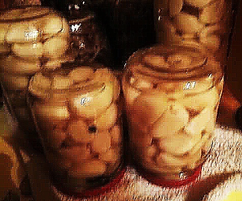 Фото: М.Шульга