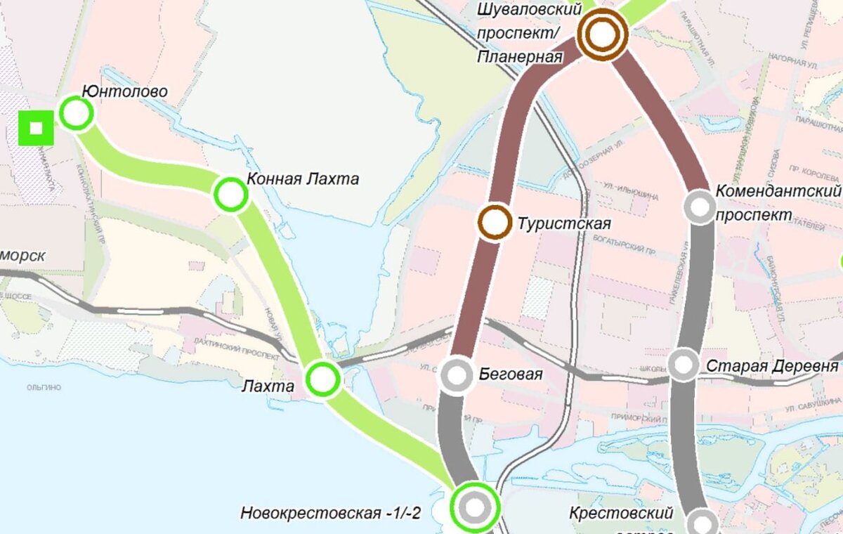 Санкт петербург шуваловский проспект