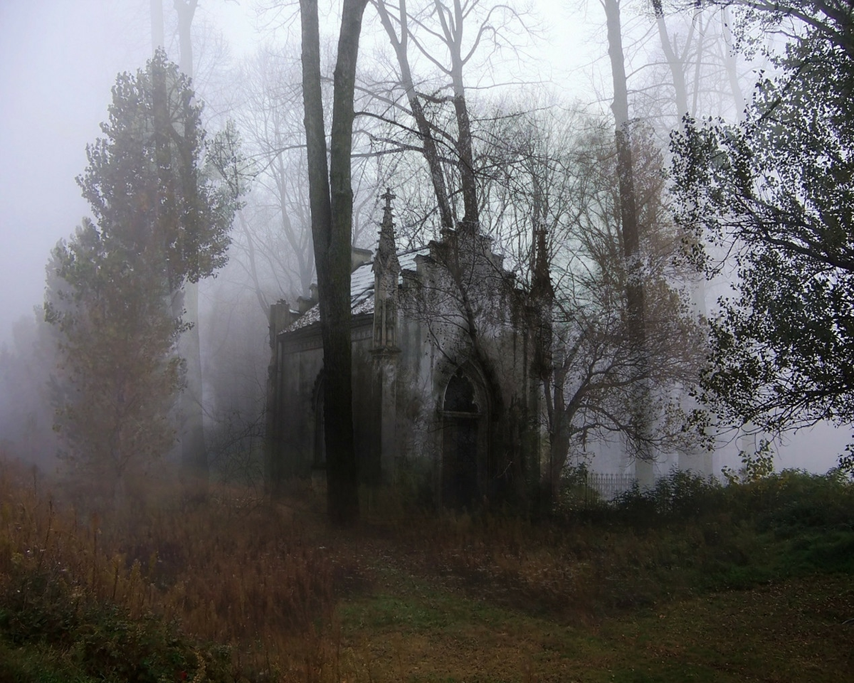 Свободный доступ