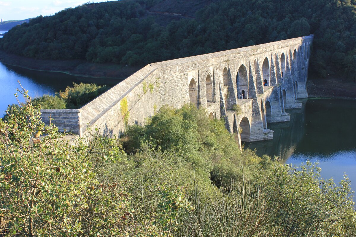 Все фотографии в статье сделаны лично автором