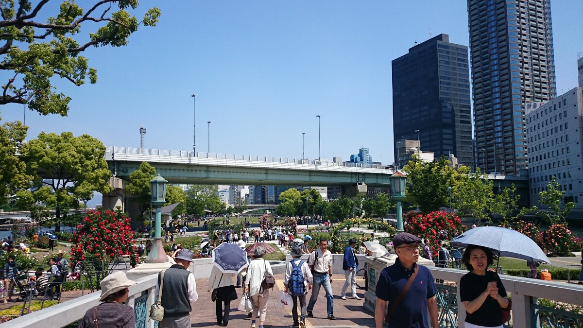 Бездетные японцы в Саду роз в Осаке (фото автора)