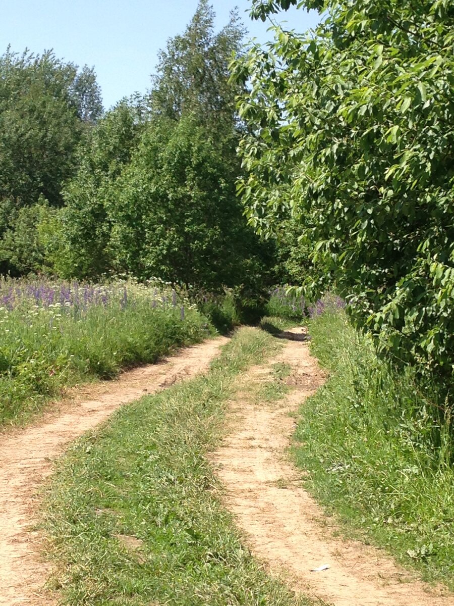 тропинка, ведущая очень далеко.