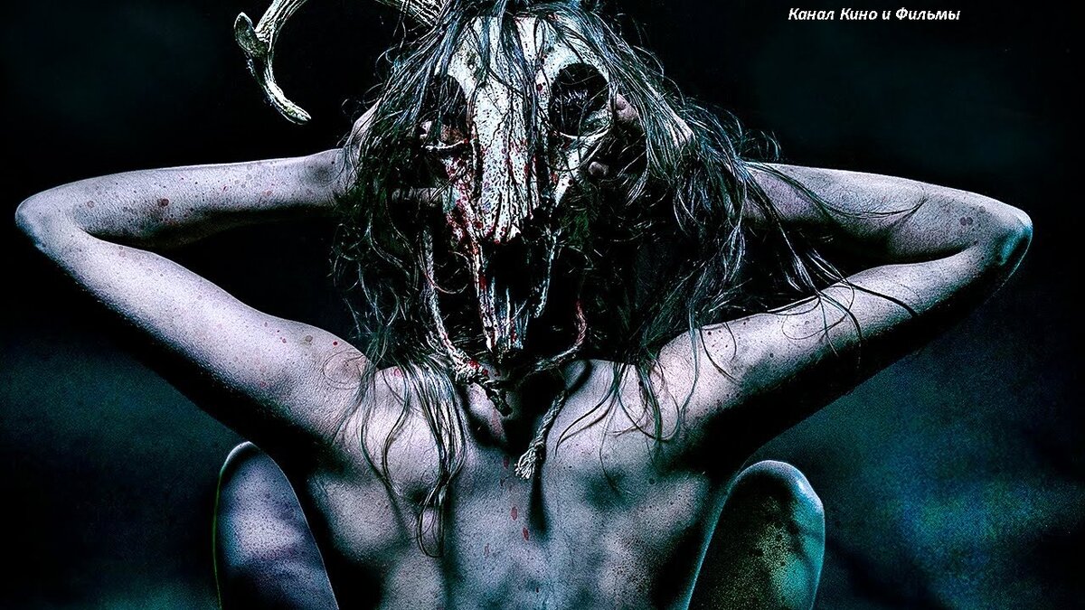 Фото из открытых источников где размещены иллюстрации для общего пользования