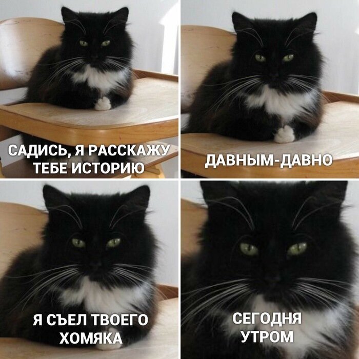 источник яндекс картинки