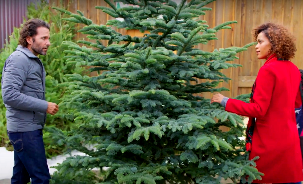 Кадр из фильма "Доставить к рождеству" 2020 года