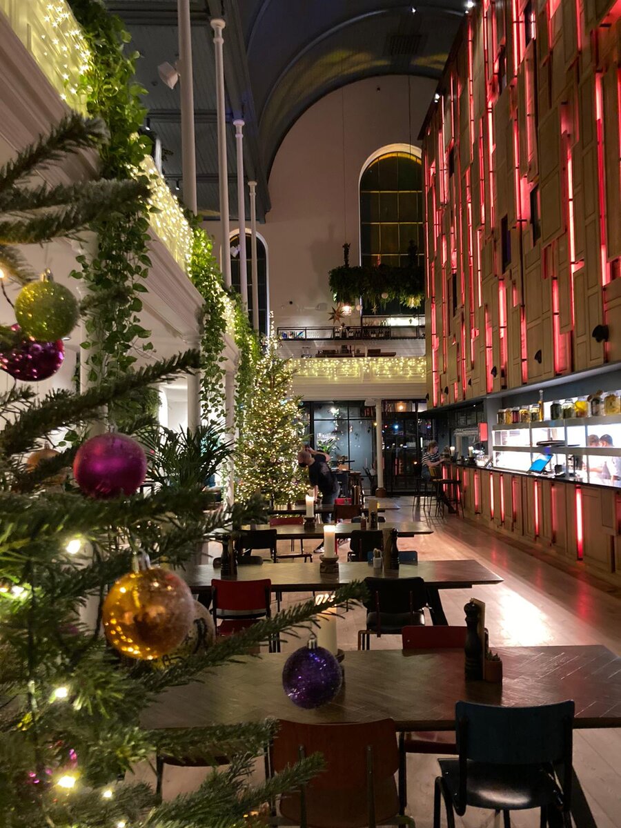 На днях поставили елки. Отель Bunk в Утрехте / фото автора