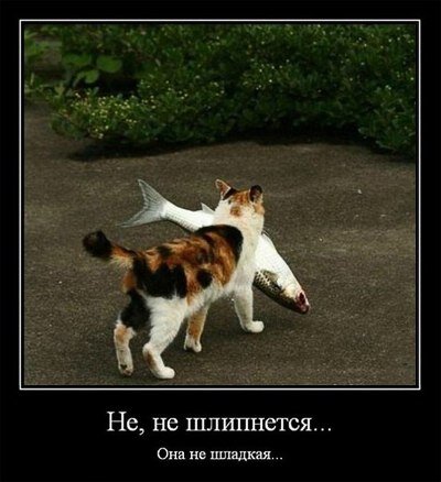 Фотография взята из открытых источников 