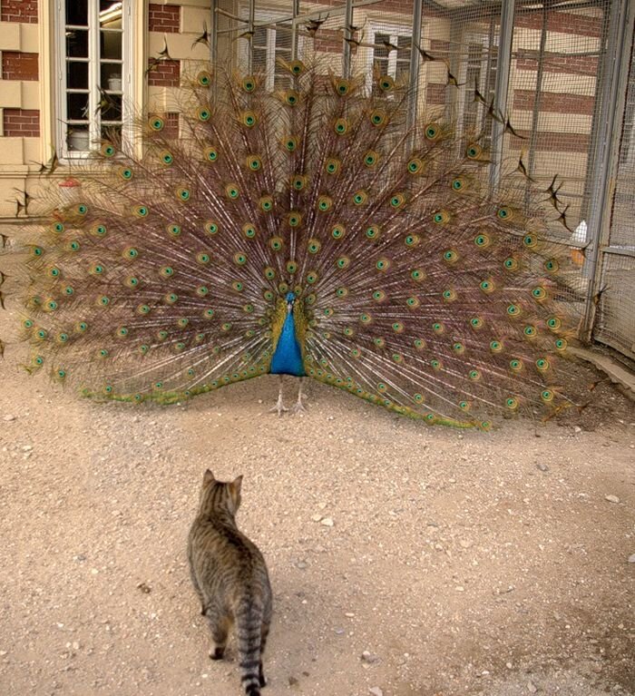 всегда есть последствия содеянного