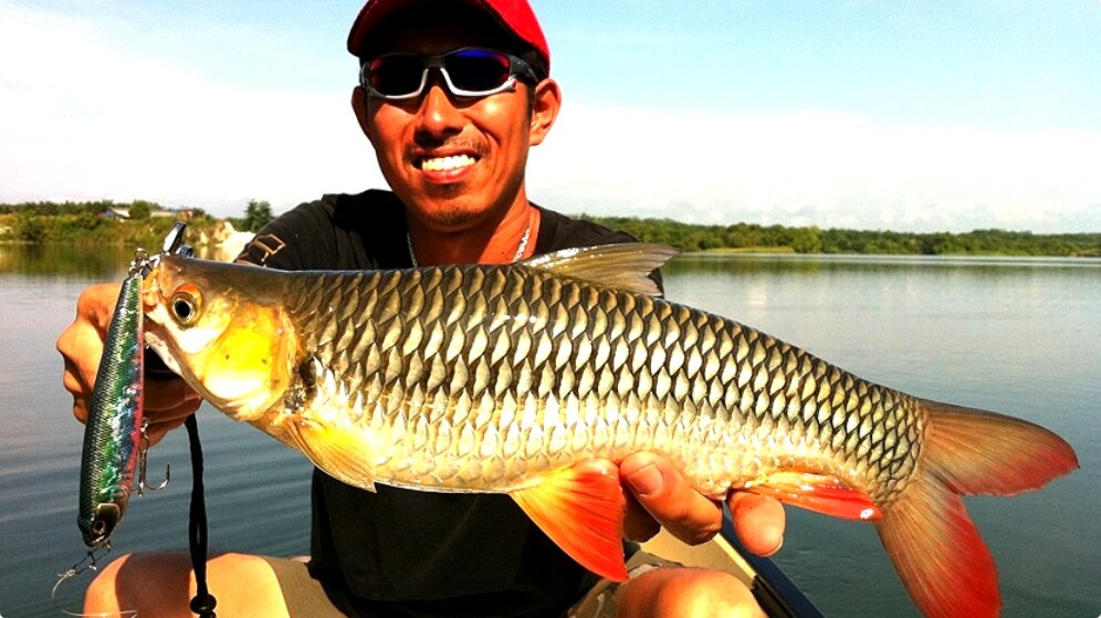 Хороший трофей! 