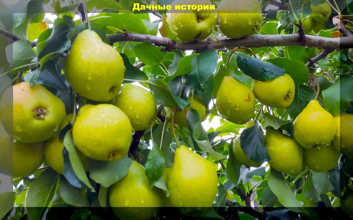 https://vk.com/photo-159774511_457244827