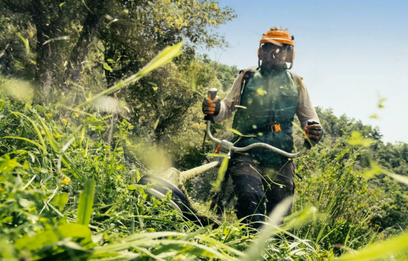 Изображение из открытого источника