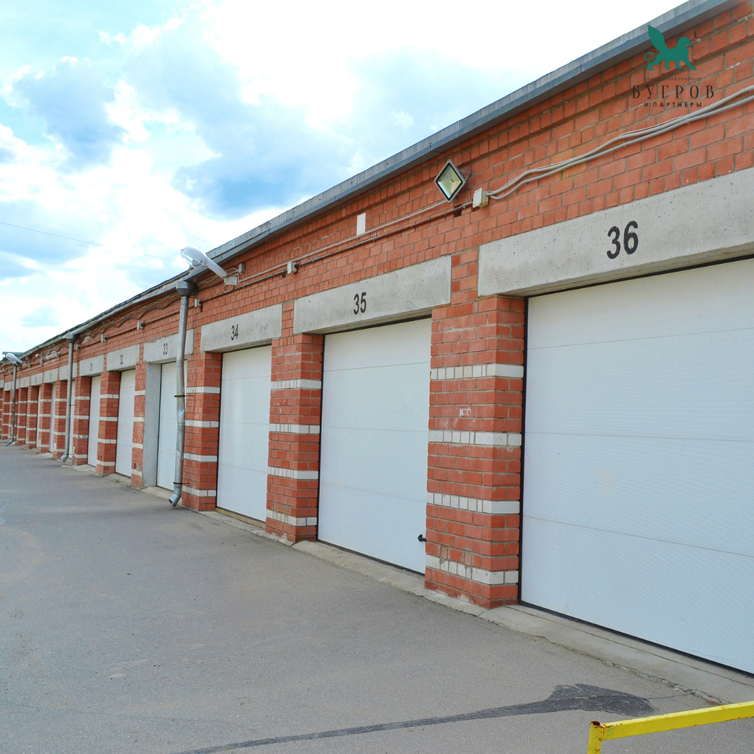 Фото из открытых источников:Canva