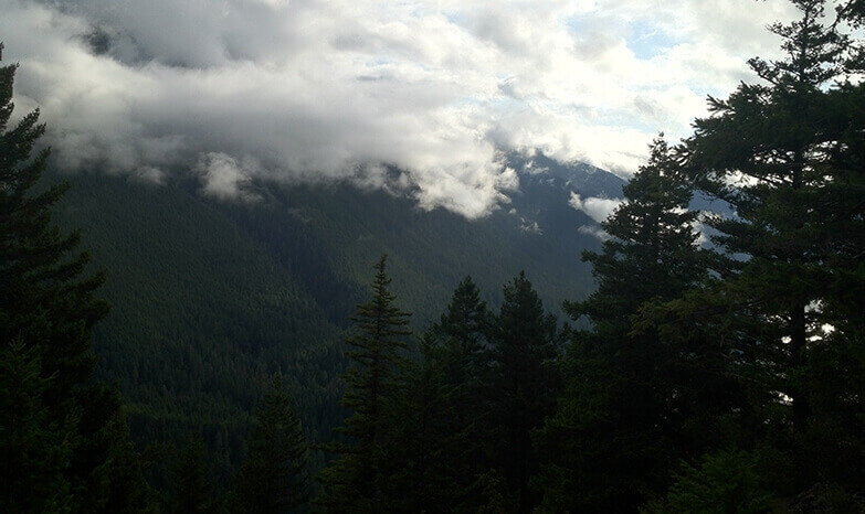 город Форкс, штат Вашингтон